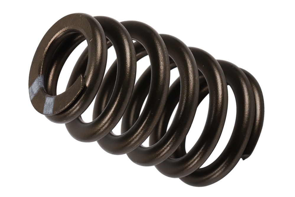 GM Genuine Parts Valve Spring