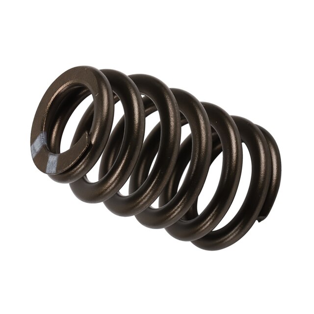 GM Genuine Parts Valve Spring
