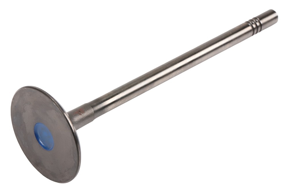 GM Genuine Parts Intake Valve