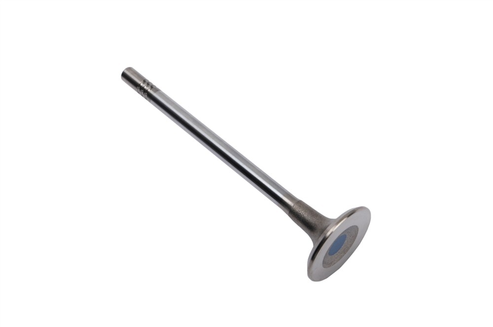 GM Genuine Parts Intake Valve