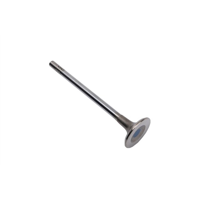 GM Genuine Parts Intake Valve
