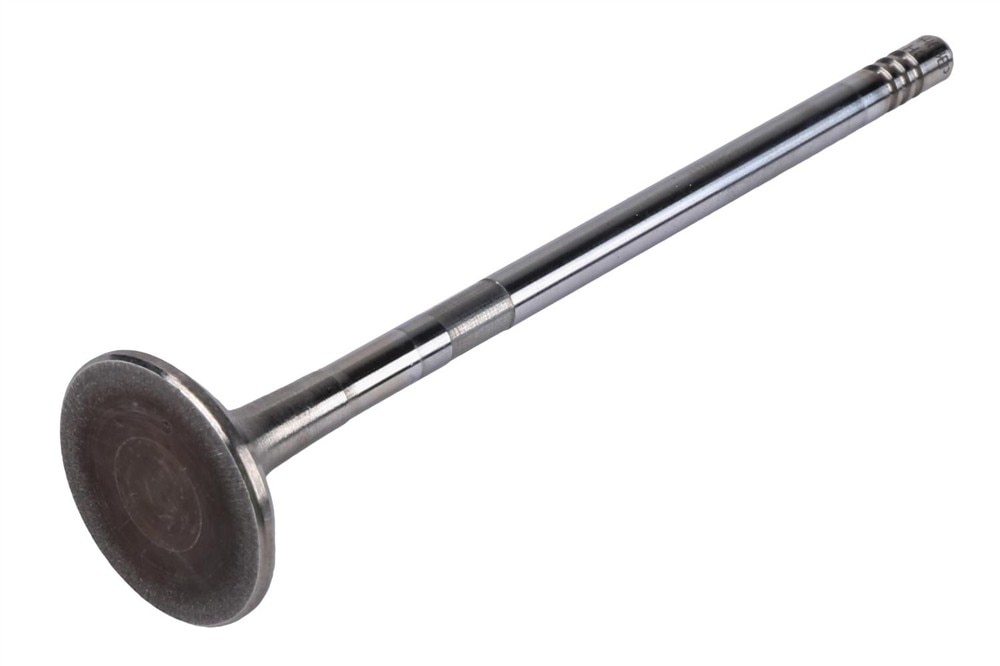 GM Genuine Parts Exhaust Valve