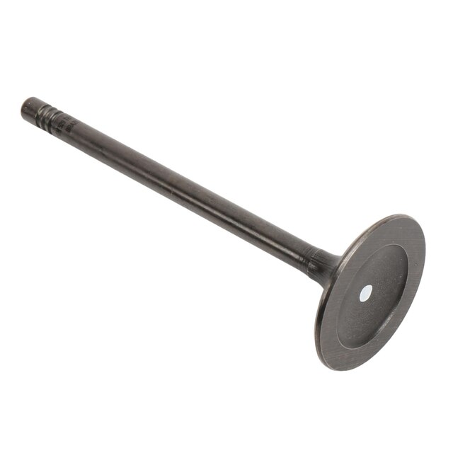 GM Genuine Parts Engine Intake Valve