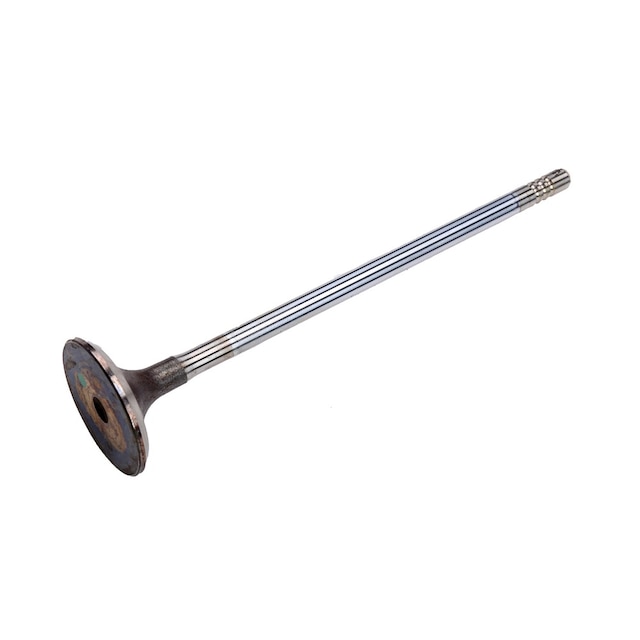 GM Genuine Parts Engine Intake Valve