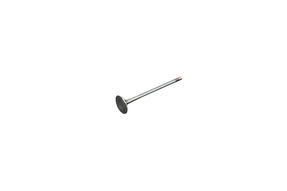 GM Genuine Parts Engine Exhaust Valve
