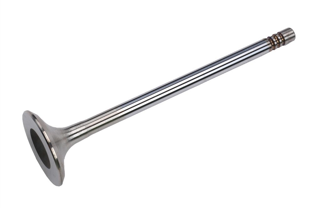 GM Genuine Parts Engine Exhaust Valve
