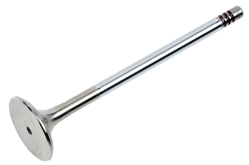 GM Genuine Parts Engine Exhaust Valve