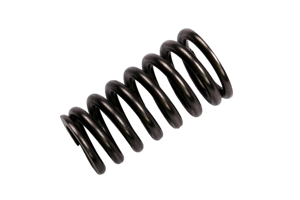 GM Genuine Parts Engine Valve Spring