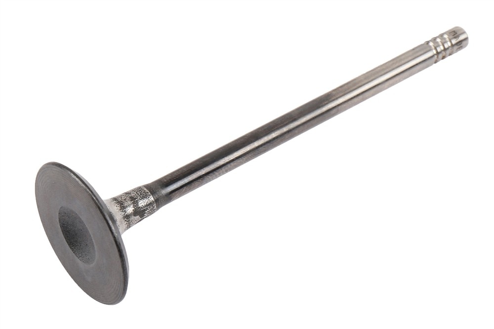GM Genuine Parts Engine Intake Valve