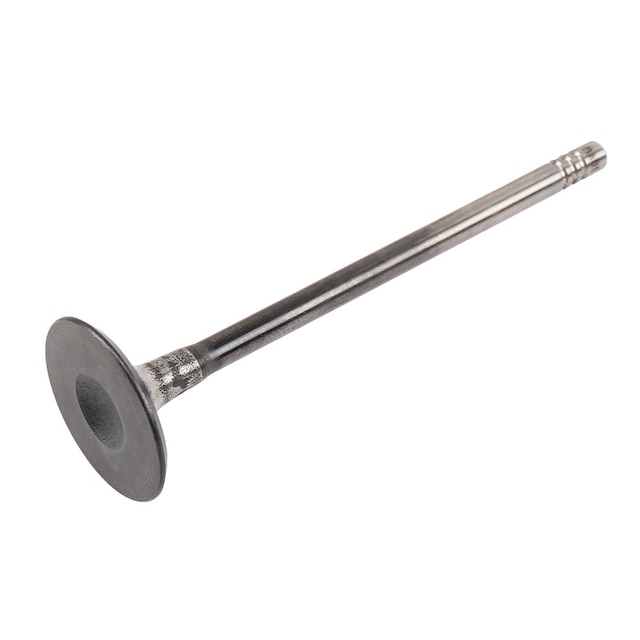 GM Genuine Parts Engine Intake Valve