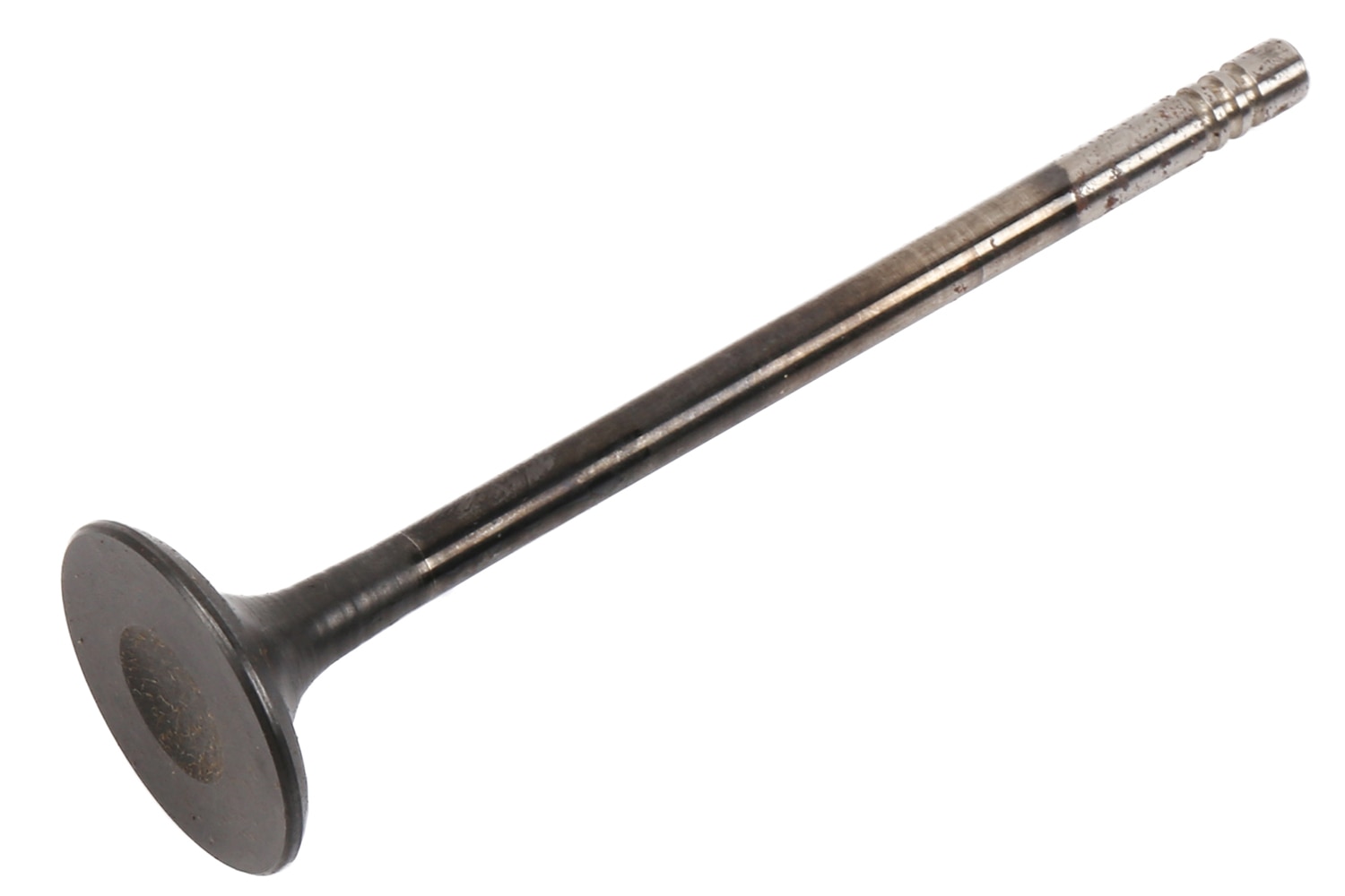 GM Genuine Parts Engine Exhaust Valve