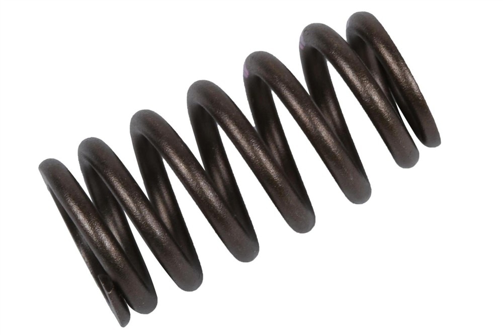 GM Genuine Parts Engine Valve Spring