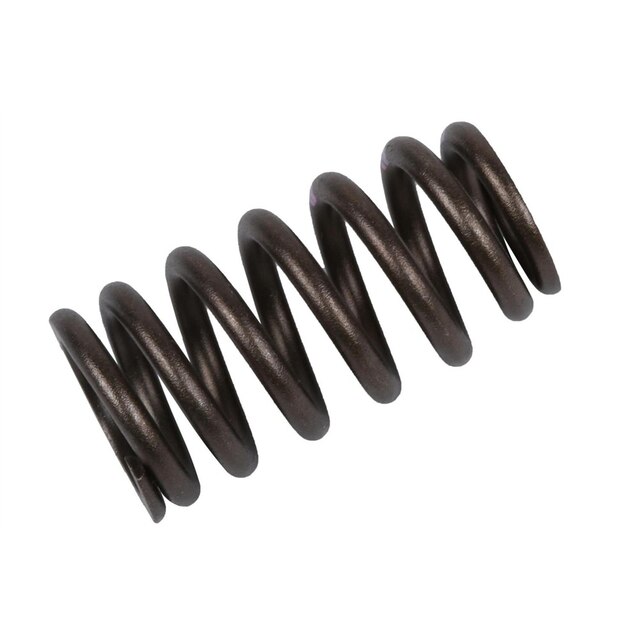 GM Genuine Parts Engine Valve Spring