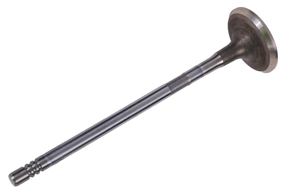 GM Genuine Parts Engine Intake Valve