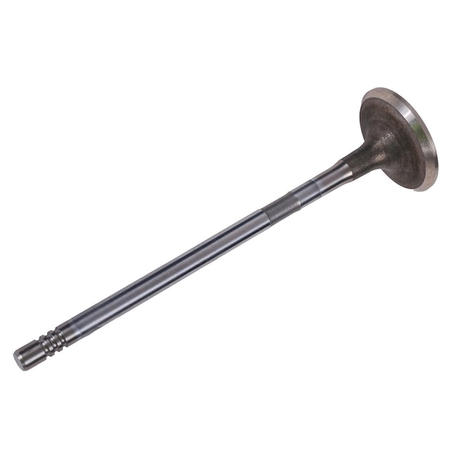 GM Genuine Parts Engine Intake Valve