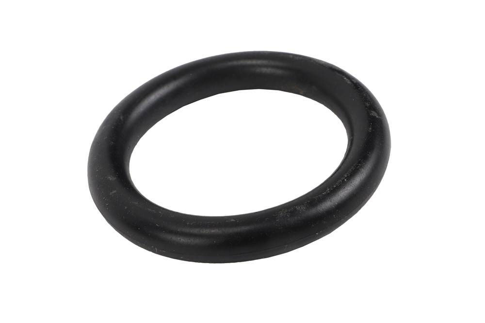 GM Genuine Parts Oil Filler Cap Gasket