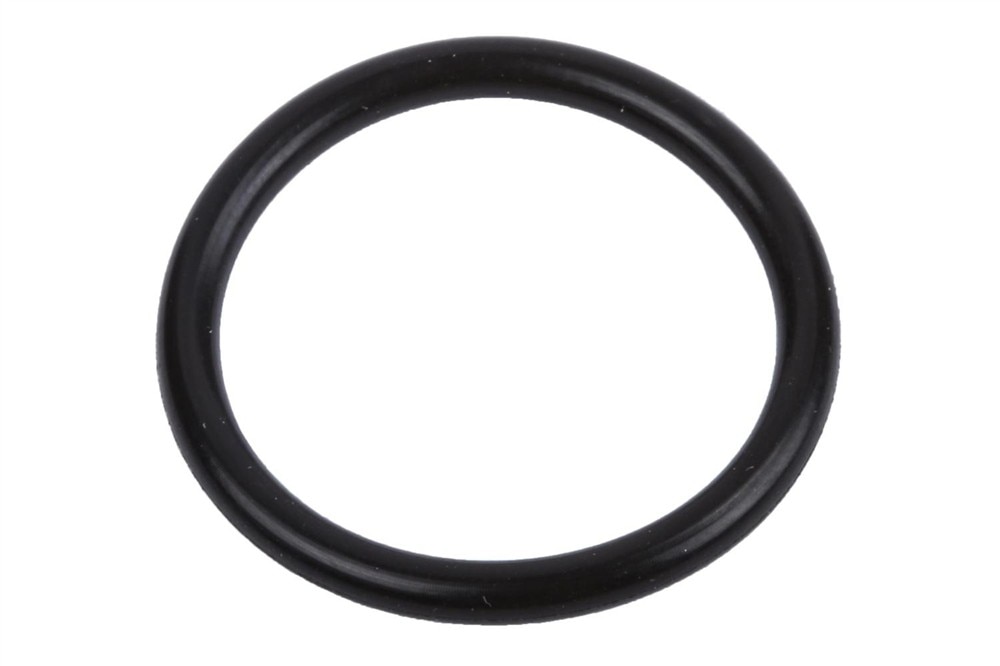 GM Genuine Parts Water Pump Inlet Pipe Seal