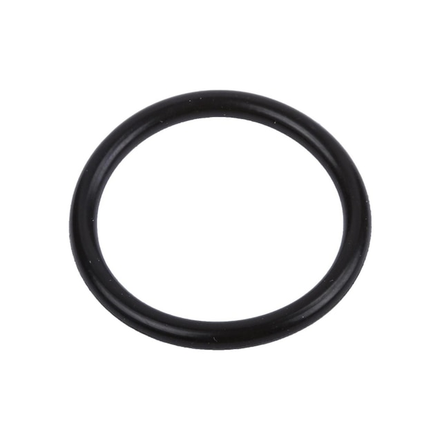 GM Genuine Parts Water Pump Inlet Pipe Seal