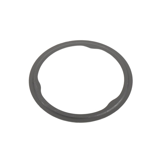 GM Genuine Parts Catalytic Converter Seal