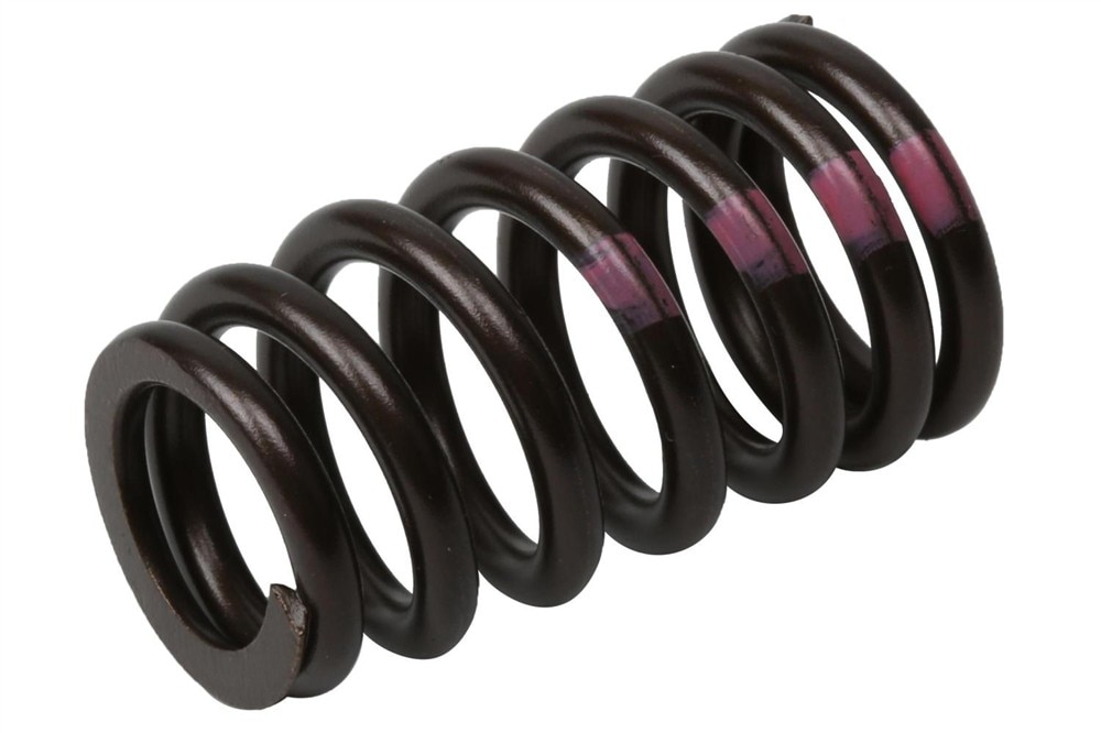 GM Genuine Parts Engine Valve Spring