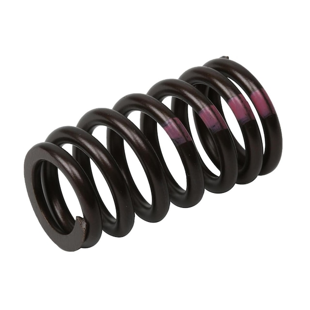 GM Genuine Parts Engine Valve Spring