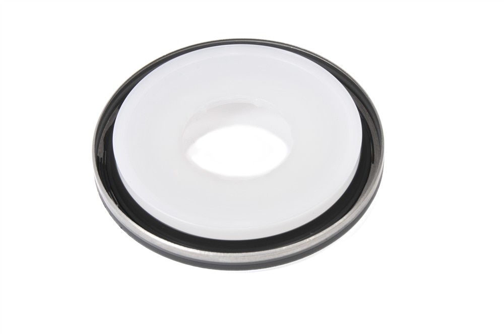 GM Genuine Parts Rear Crankshaft Oil Seal