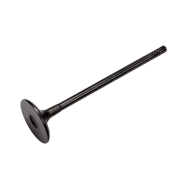 GM Genuine Parts Engine Intake Valve