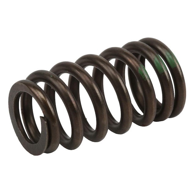 GM Genuine Parts Valve Spring