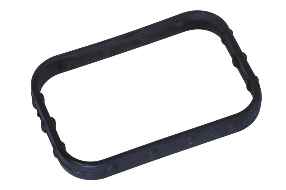 GM Genuine Parts Water Pump Seal