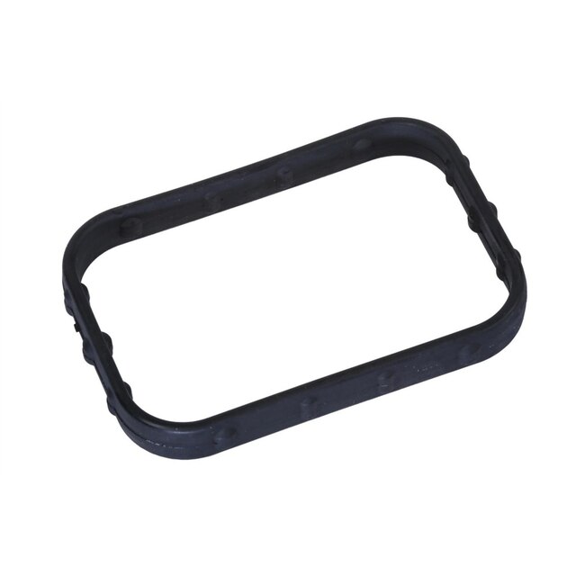 GM Genuine Parts Water Pump Seal