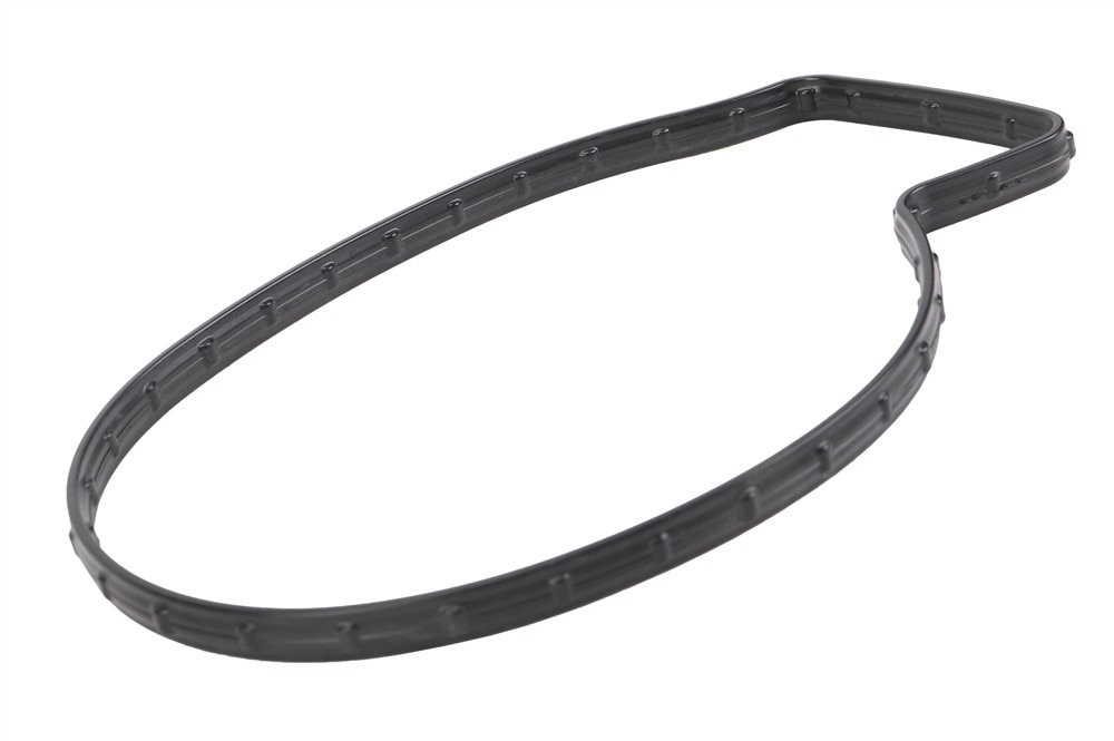 GM Genuine Parts Engine Water Pump Seal