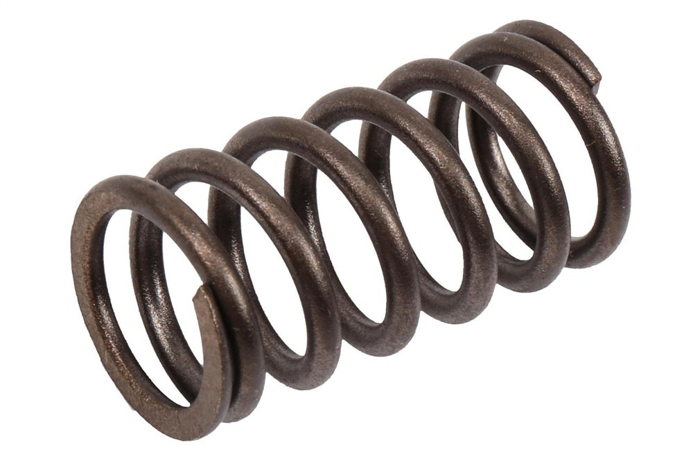 GM Genuine Parts Engine Valve Spring