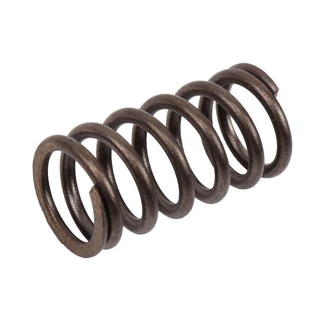 GM Genuine Parts Engine Valve Spring