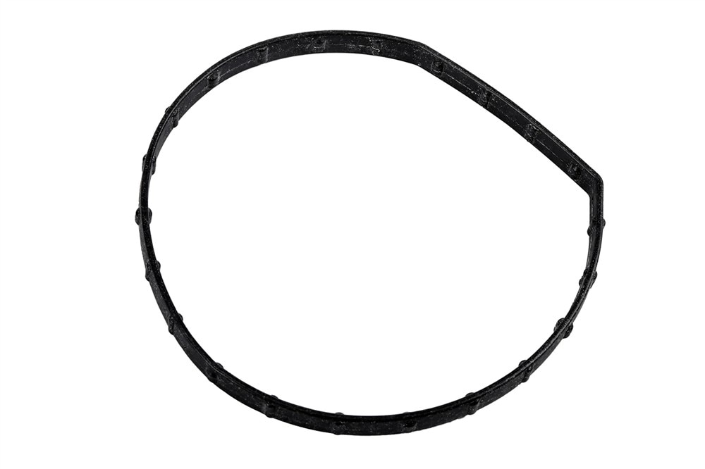 GM Genuine Parts Water Pump Seal