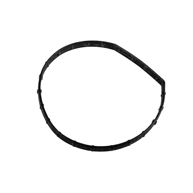 GM Genuine Parts Water Pump Seal