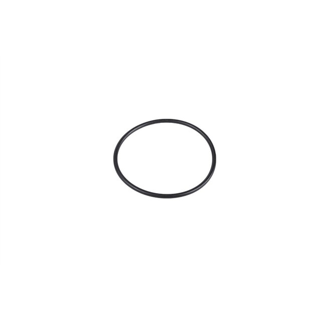 GM Genuine Parts Engine Coolant Seal