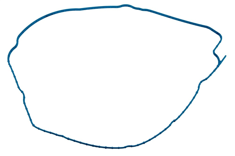 GM Genuine Parts Rear Transfer Case Extension Seal