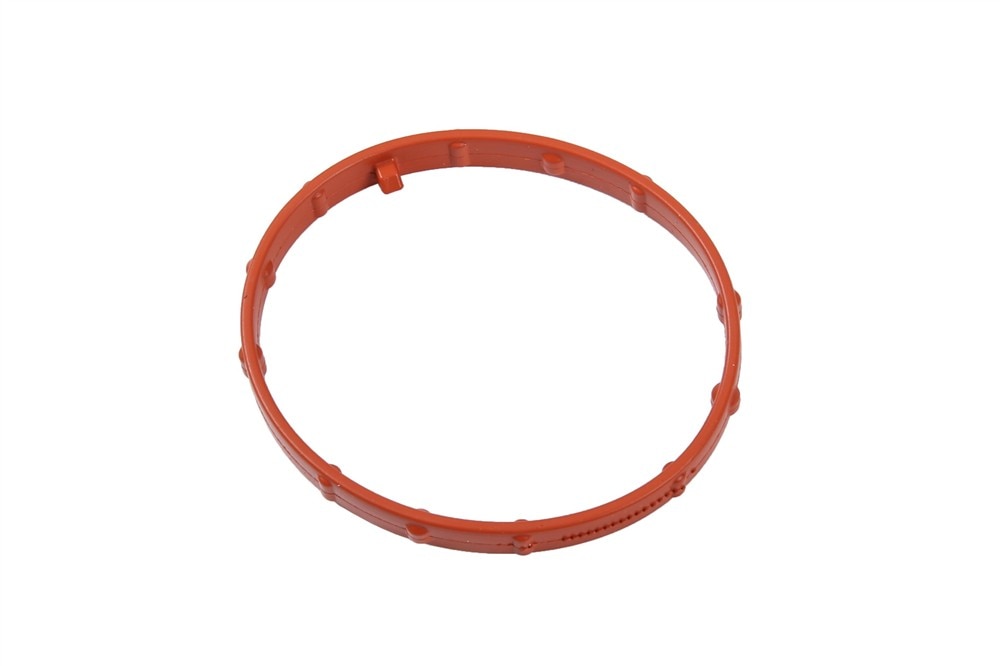 GM Genuine Parts Exhaust Gas Recirculation (EGR) Pipe Gasket
