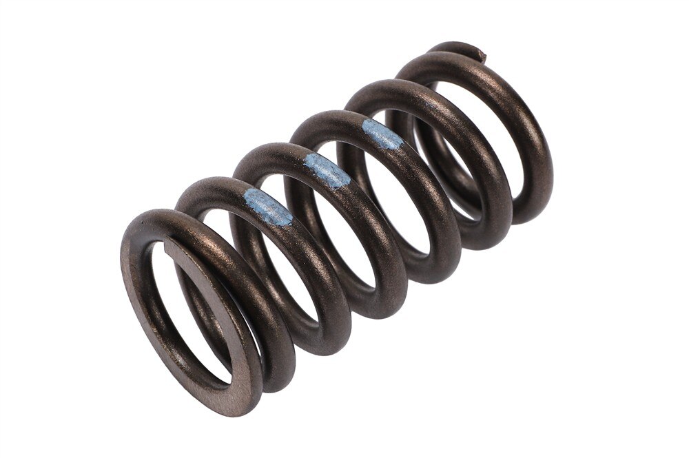 GM Genuine Parts Engine Valve Spring