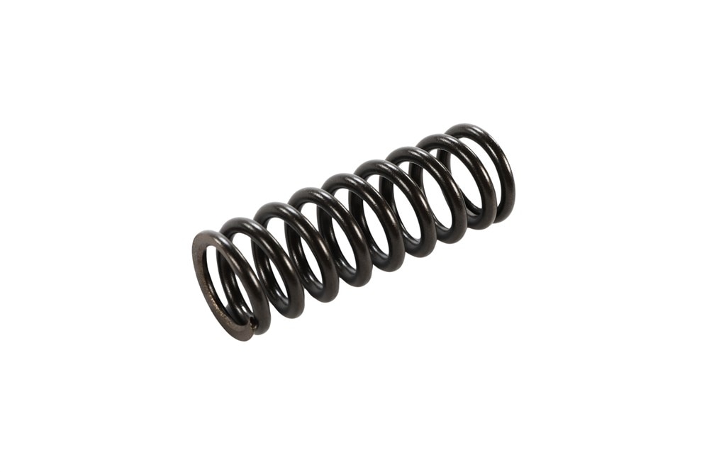 GM Genuine Parts Engine Valve Spring