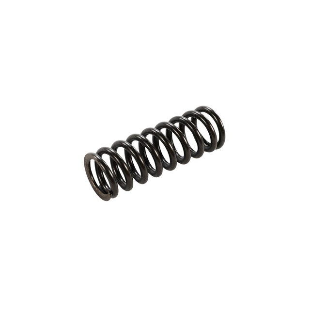 GM Genuine Parts Engine Valve Spring
