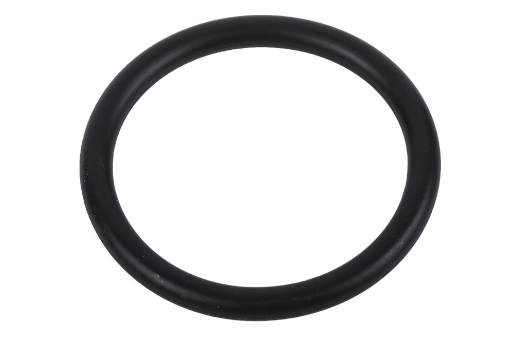 GM Genuine Parts Water Pump Seal