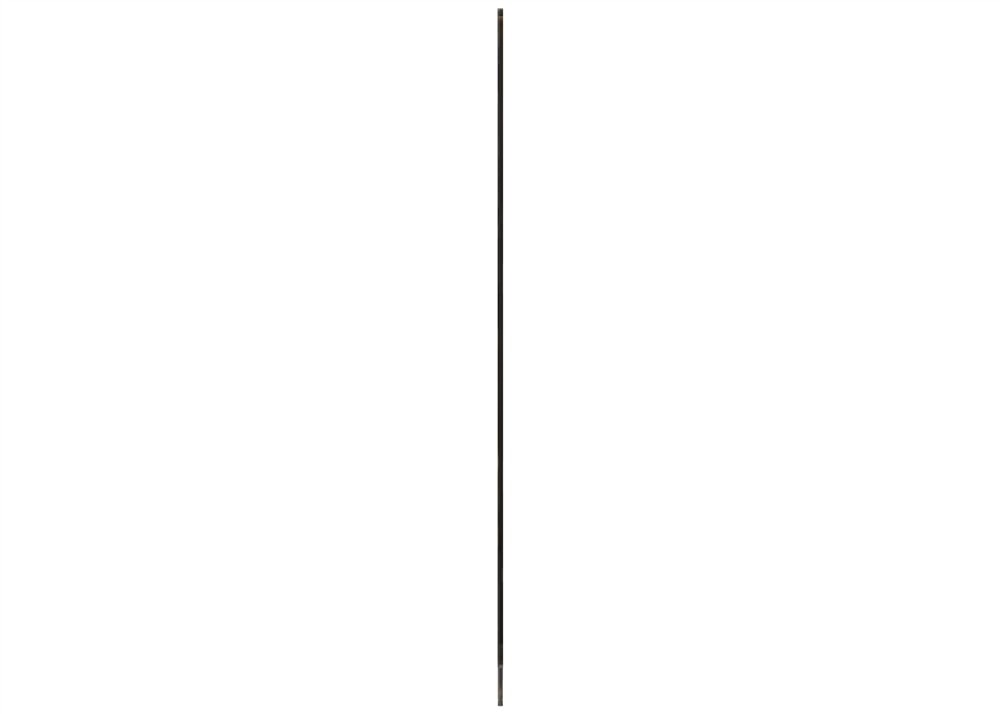 Alternate Image