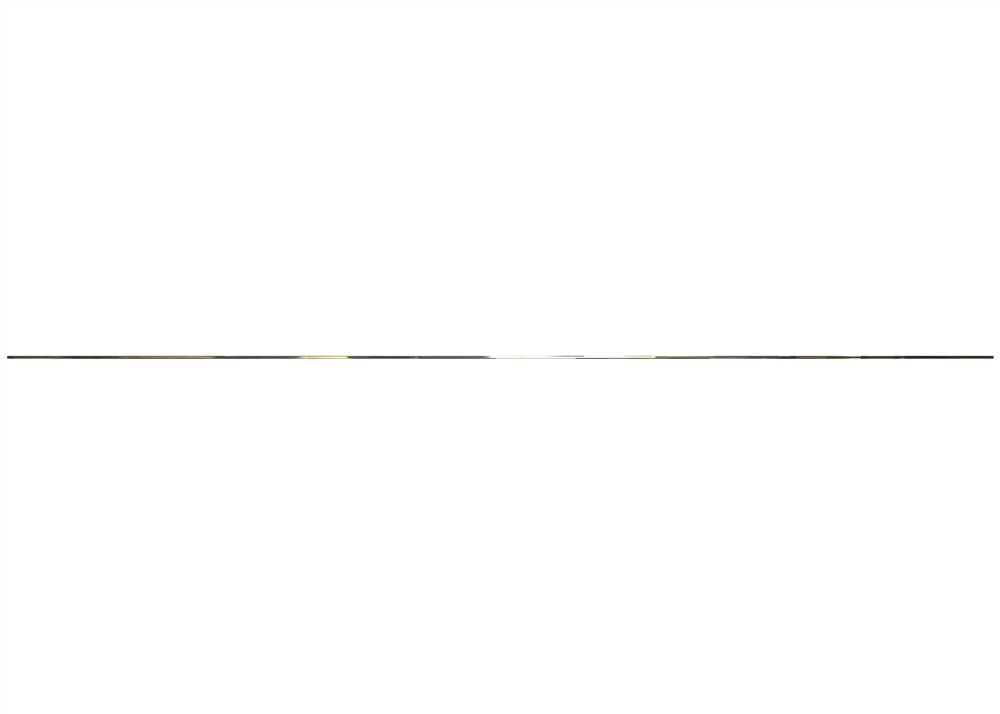 Alternate Image