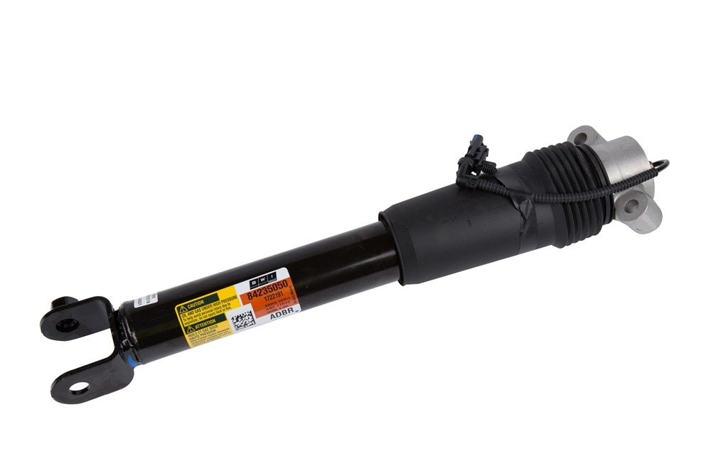 GM Genuine Parts Rear Shock Absorber Kit
