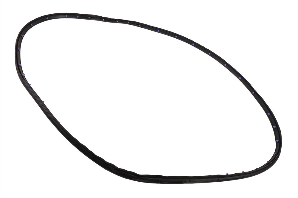 GM Genuine Parts Rear Passenger Side Door Weatherstrip