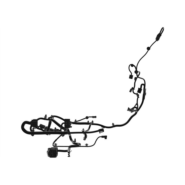 Alternate Image