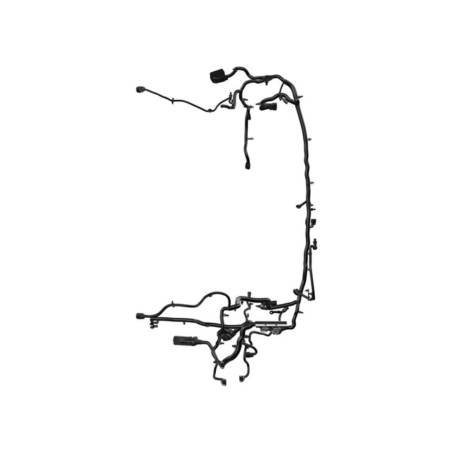 Alternate Image