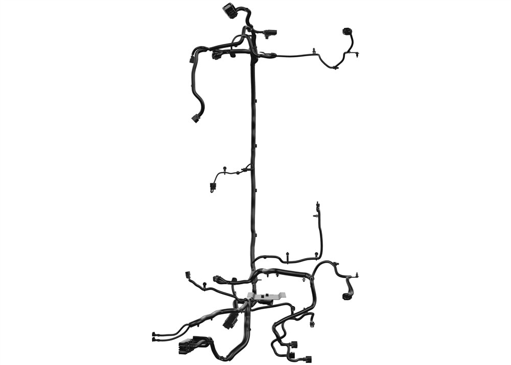 Alternate Image