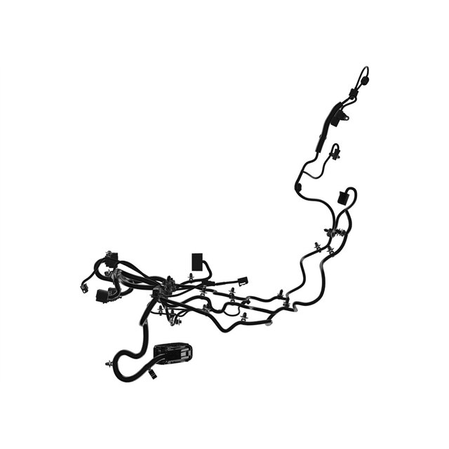 Alternate Image